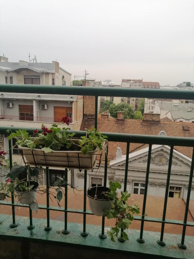 Apartman Centar Beograd 外观 照片